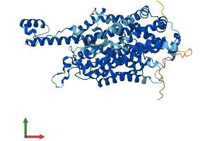 AlphaFold protein structure predicition of Human Recombinant SLC6A19 Protein, UniprotID Q695T7