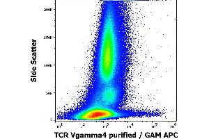 anti-TCR Vgamma4 antibody