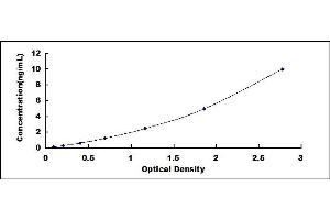 Typical standard curve (RAB5 Kit ELISA)