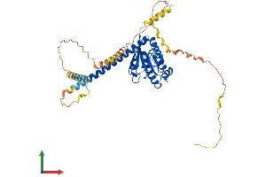 AlphaFold protein structure predicition of Mouse Recombinant Arl13b Protein, UniprotID Q640N2