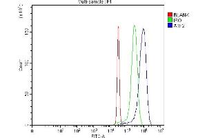 Flow Cytometry analysis of Hela cells using anti-ATF2 antibody (ABIN7599413). (ATF2 anticorps  (AA 1-454))