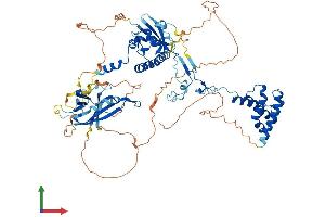 AlphaFold protein structure predicition of Mouse Recombinant Suz12 Protein, UniprotID Q80U70