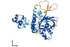 AlphaFold protein structure predicition of Mouse Recombinant Rad51b Protein, UniprotID O35719