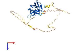 AlphaFold protein structure predicition of Human Recombinant RIMS3 Protein, UniprotID Q9UJD0