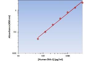 This is an example of what a typical standard curve will look like. (DKK1 Kit ELISA)