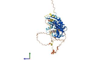 AlphaFold protein structure predicition of Mouse Recombinant Camk1g Protein, UniprotID Q91VB2