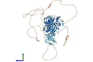AlphaFold protein structure predicition of Mouse Recombinant Ddx21 Protein, UniprotID Q9JIK5