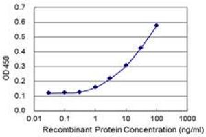Detection limit for recombinant GST tagged SLC7A6OS is 0.