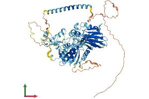 AlphaFold protein structure predicition of Mouse Recombinant Noa1 Protein, UniprotID Q9JJG9