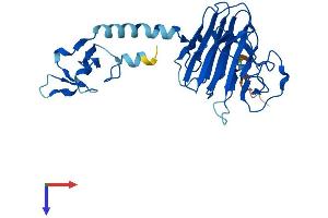 AlphaFold protein structure predicition of Human Recombinant RFPL4A Protein, UniprotID A6NLU0