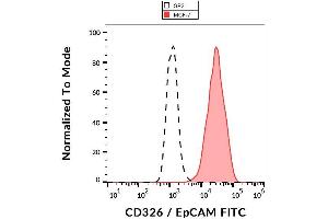 Surface staining of human MCF-7 cell line with anti-human CD326 / EpCAM (VU-1D9) FITC. (EpCAM anticorps  (FITC))