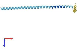 AlphaFold protein structure predicition of Mouse Recombinant Sncg Protein, UniprotID Q9Z0F7