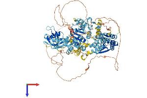 AlphaFold protein structure predicition of Mouse Recombinant Hltf Protein, UniprotID Q6PCN7