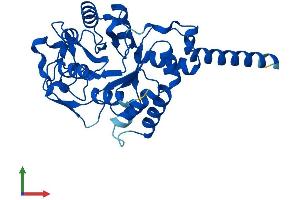 AlphaFold protein structure predicition of Human Recombinant GDPD1 Protein, UniprotID Q8N9F7
