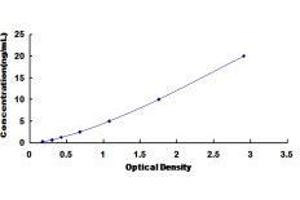 ELISA image for Neuropeptide Y Receptor Y5 (NPY5R) ELISA Kit (ABIN421602)
