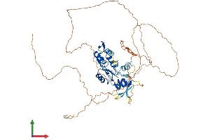 AlphaFold protein structure predicition of Human Recombinant ZNF280A Protein, UniprotID P59817