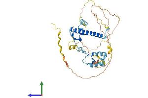 AlphaFold protein structure predicition of Mouse Recombinant Atxn7l3 Protein, UniprotID A2AWT3