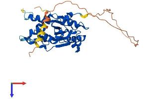 AlphaFold protein structure predicition of Mouse Recombinant Trex1 Protein, UniprotID Q91XB0