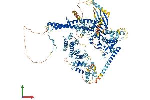 AlphaFold protein structure predicition of Human Recombinant USP25 Protein, UniprotID Q9UHP3