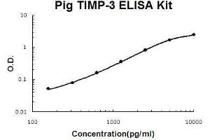 Pig TIMP-3 PicoKine ELISA Kit standard curve (TIMP3 Kit ELISA)