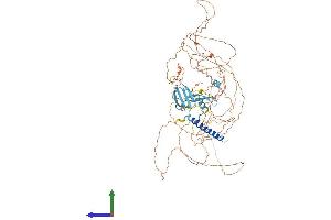 AlphaFold protein structure predicition of Human Recombinant LRIF1 Protein, UniprotID Q5T3J3