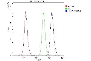 Flow Cytometry analysis of A431 cells using anti-AMPK beta 2 antibody (ABIN3043907).