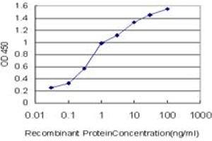 Detection limit for recombinant GST tagged BAIAP2L1 is approximately 0. (BAIAP2L1 anticorps  (AA 398-511))