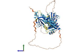 AlphaFold protein structure predicition of Human Recombinant NHERF4 Protein, UniprotID Q86UT5
