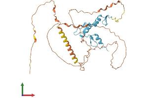 AlphaFold protein structure predicition of Mouse Recombinant Klf17 Protein, UniprotID Q8CFA7