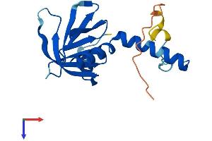 AlphaFold protein structure predicition of Mouse Recombinant Plekhj1 Protein, UniprotID Q9D240