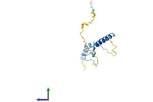 AlphaFold protein structure predicition of Mouse Recombinant Pcp2 Protein, UniprotID P12660