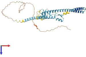 AlphaFold protein structure predicition of Human Recombinant LUC7L Protein, UniprotID Q9NQ29