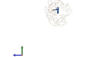 AlphaFold protein structure predicition of Human Recombinant MTUS2 Protein, UniprotID Q5JR59