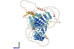 AlphaFold protein structure predicition of Mouse Recombinant Slf1 Protein, UniprotID Q8R3P9