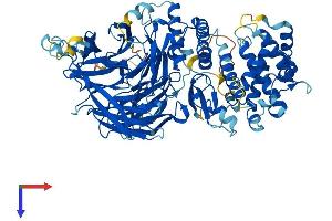 AlphaFold protein structure predicition of Mouse Recombinant Med16 Protein, UniprotID Q6PGF3