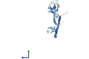 AlphaFold protein structure predicition of Mouse Recombinant Trim27 Protein, UniprotID Q62158