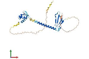 AlphaFold protein structure predicition of Human Recombinant E2F6 Protein, UniprotID O75461