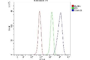 Flow Cytometry analysis of HepG2 cells using anti-TOMM20 antibody (ABIN7600883). (TOMM20 anticorps  (AA 25-145))