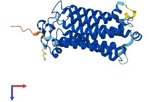 AlphaFold protein structure predicition of Human Recombinant PAQR5 Protein, UniprotID Q9NXK6