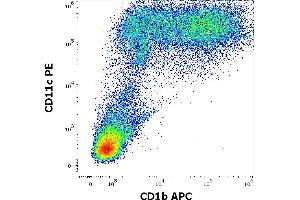 Flow cytometry multicolor surface staining pattern of human stimulated (GM-CSF + IL-4) peripheral blood mononuclear cells using anti-human CD1b (SN13) APC antibody (10 μL reagent per milion cells in 100 μL of cell suspension) and anti-human CD11c (BU15) PE antibody (20 μL reagent per milion cells in 100 μL of cell suspension).