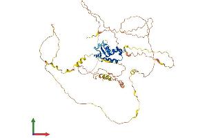 AlphaFold protein structure predicition of Human Recombinant FOXC1 Protein, UniprotID Q12948