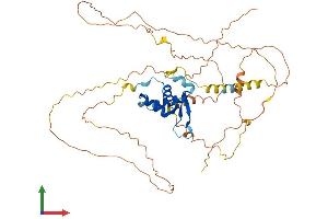 AlphaFold protein structure predicition of Mouse Recombinant Foxd3 Protein, UniprotID Q61060