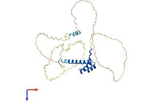 AlphaFold protein structure predicition of Human Recombinant HOXA11 Protein, UniprotID P31270