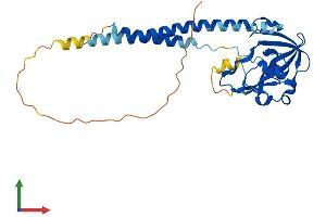AlphaFold protein structure predicition of Human Recombinant SURF1 Protein, UniprotID Q15526