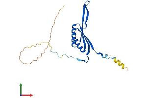 AlphaFold protein structure predicition of Human Recombinant MRPS10 Protein, UniprotID P82664