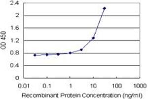 Sandwich ELISA detection sensitivity ranging from 1 ng/mL to 100 ng/mL. (ENG (Humain) Matched Antibody Pair)