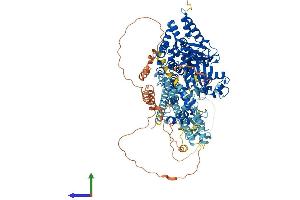 AlphaFold protein structure predicition of Mouse Recombinant Mical1 Protein, UniprotID Q8VDP3