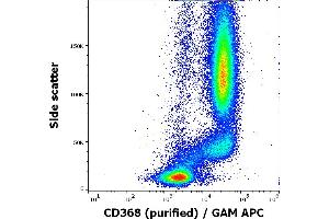 Flow cytometry surface staining pattern of human peripheral whole blood stained using anti-human CD368 (9B9) purified antibody (concentration in sample 5 μg/mL, GAM APC). (CLEC4D anticorps)