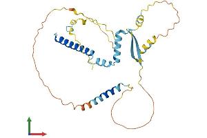 AlphaFold protein structure predicition of Human Recombinant CFDP1 Protein, UniprotID Q9UEE9