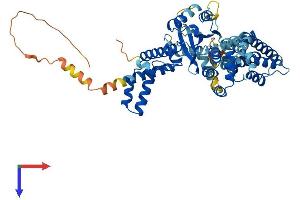 AlphaFold protein structure predicition of Human Recombinant FAM200A Protein, UniprotID Q8TCP9